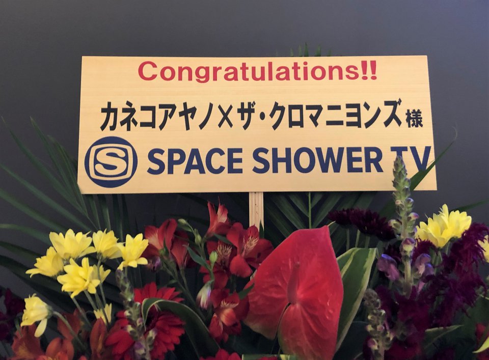 の画像